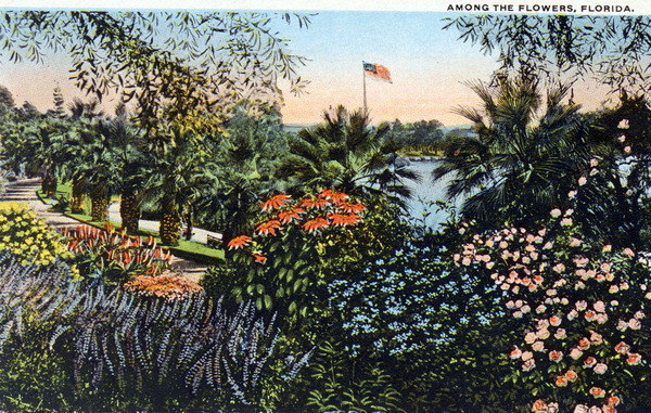 Among the flowers