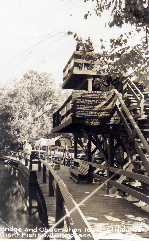 Bridge and observation tower at nature's giant fish bowl - Homosassa Springs, Florida