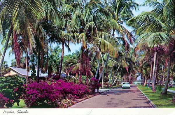 Broad Avenue - Naples, Florida
