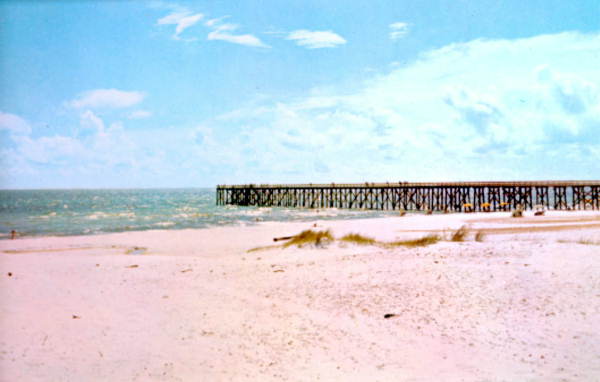 One of the many fishing piers for public use along Panama City's beaches :.