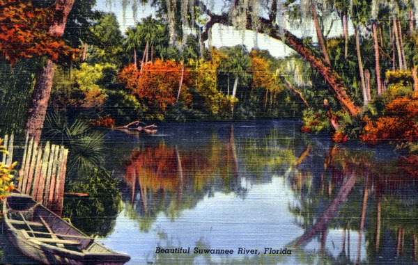 Beautiful Suwannee River - Florida.