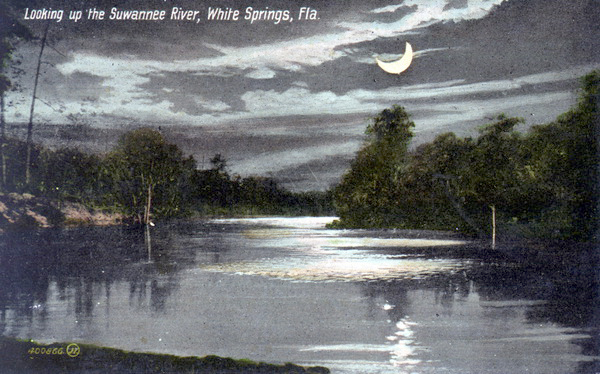 Looking up the Suwannee River - White Springs. Florida