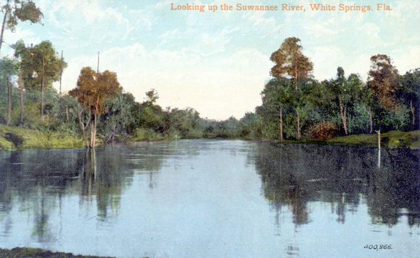 Looking up the Suwannee River - White Springs, Florida