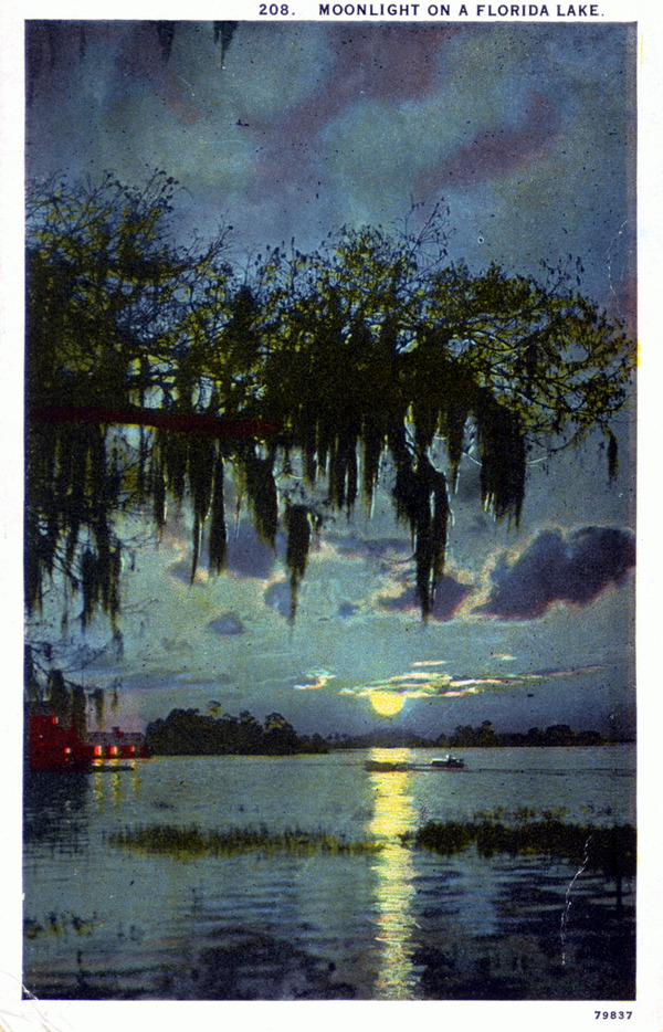 Moonlight on a Florida lake