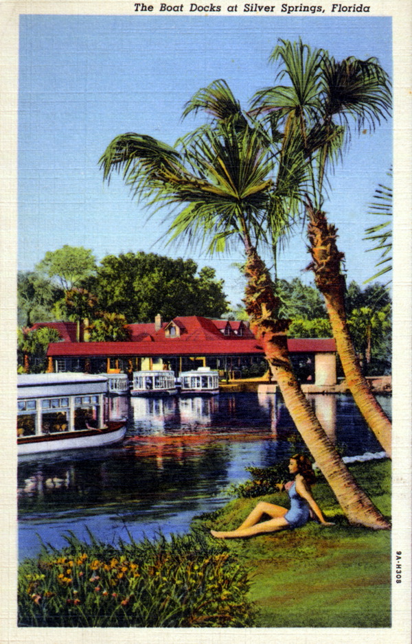 The boat docks at Silver Springs - Florida