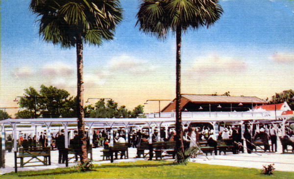 The Shuffleboard Club - Saint Petersburg, Fla..