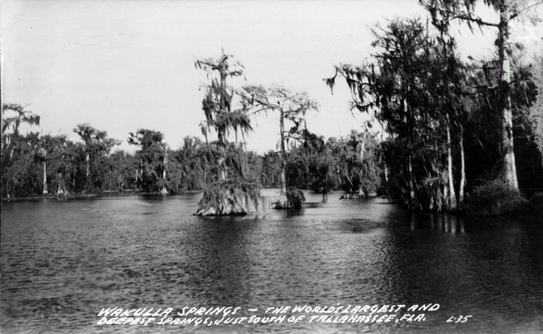 Wakulla Springs - Florida
