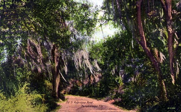 Old Saint Augustine Road - Tallahassee, Florida.