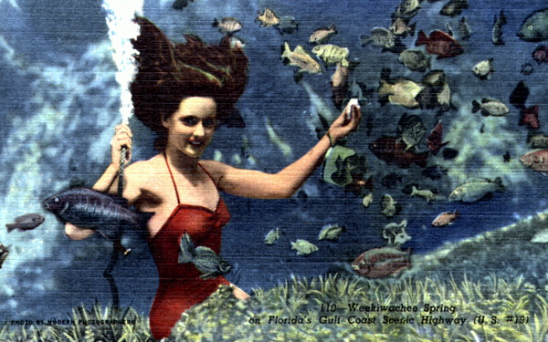 Weeki Wachee Spring - on Florida's gulf coast scenic highway (U.S. number 19).