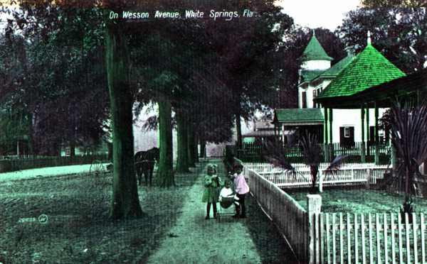 On Wesson Avenue - White Springs, Florida