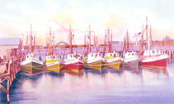Shrimp Boats at St. Augustine, Florida.