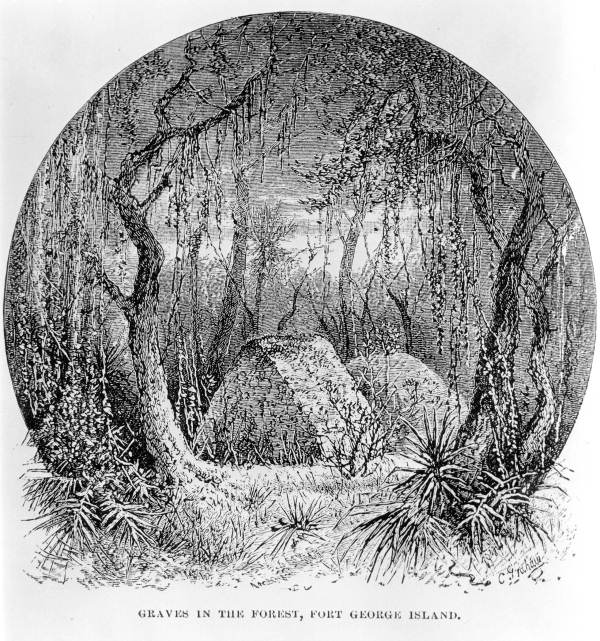 Drawing of graves in the forest.
