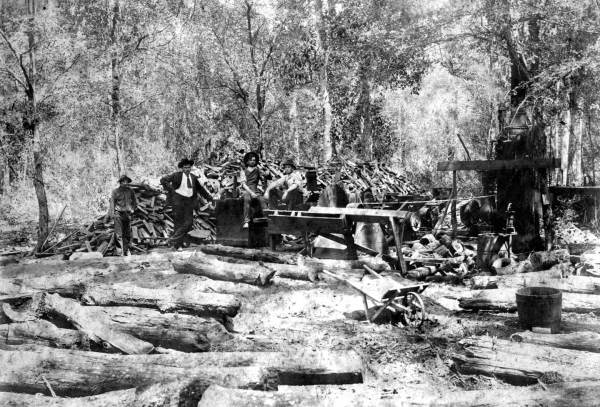 Cedar mill in Citrus County