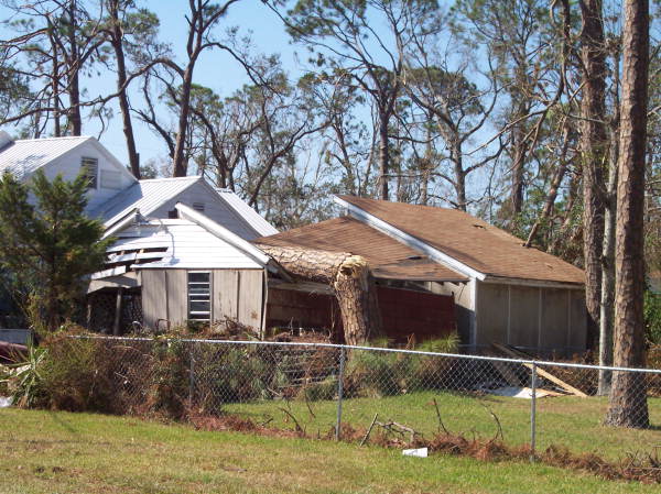 Tree down on home in Pensacola, Florida.