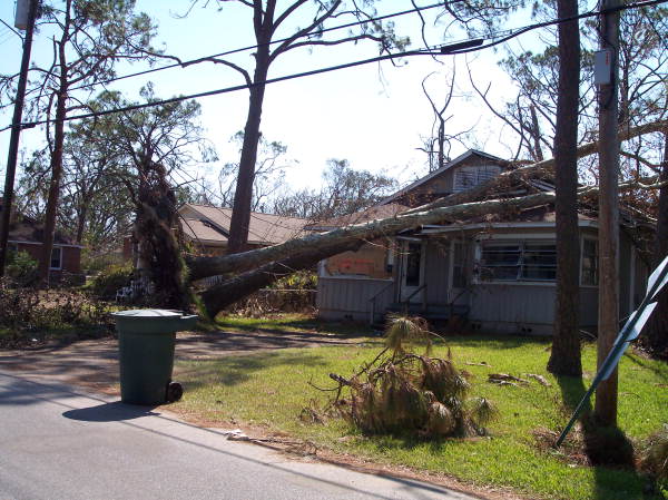 Trees down on house in Pensacola, Florida.