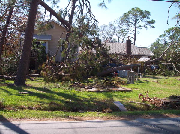 Trees fallen around house in Pensacola, Florida.