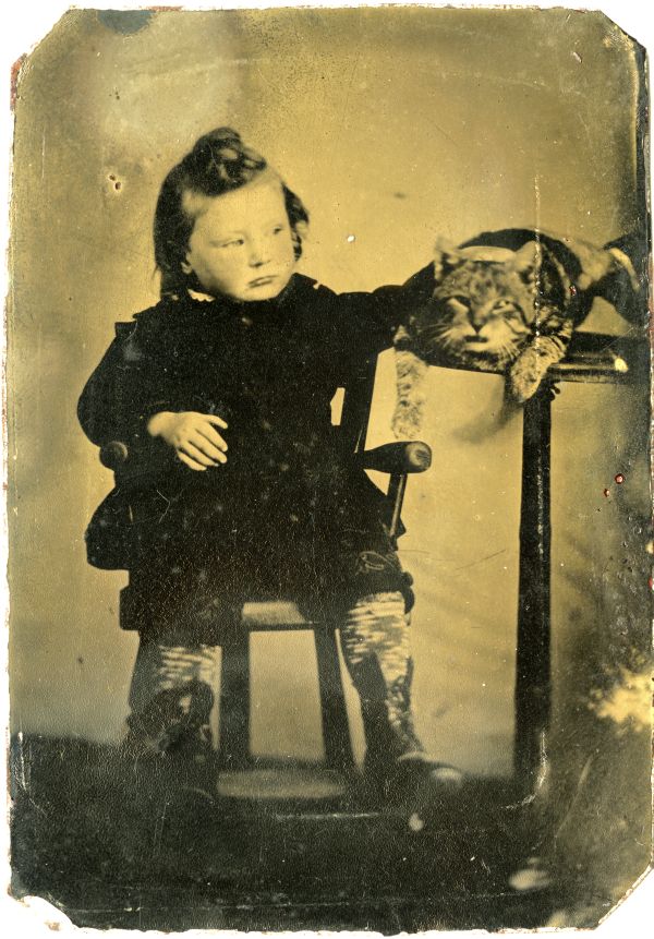 Child petting a cat.