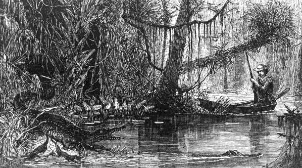 Photograph of a print depicting a hunter's encounter with alligators on the Ocklawaha River