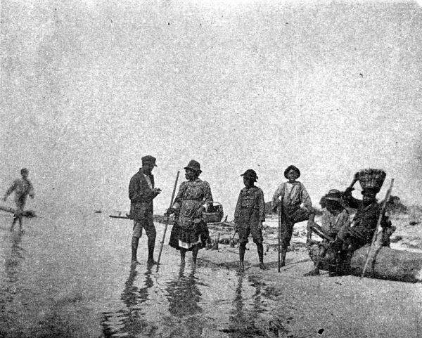 African Americans gathering oysters - Apalachicola Bay.