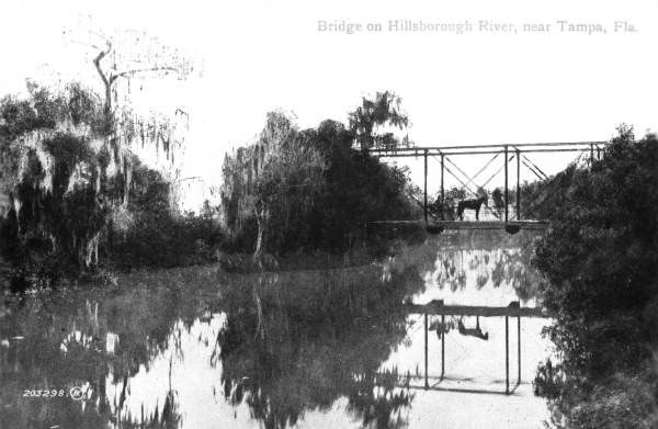 Man, horse and carriage on bridge over Hillsborough River near Tampa.
