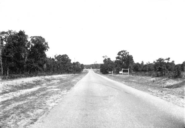 Highway near Brooksville