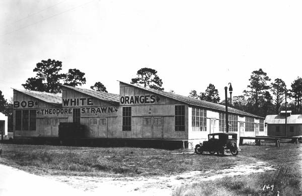 Theodore Strawn's packing house for Bob White Oranges