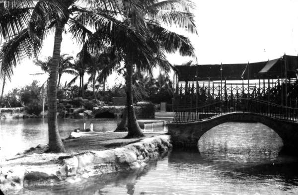 Venetian pool - Coral Gables, Florida.