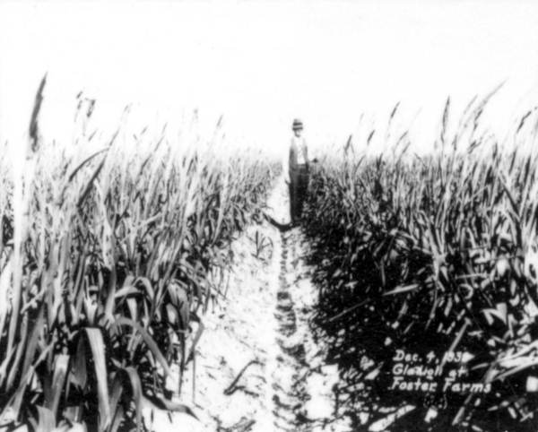 Foster Farms - De Soto County, Florida.