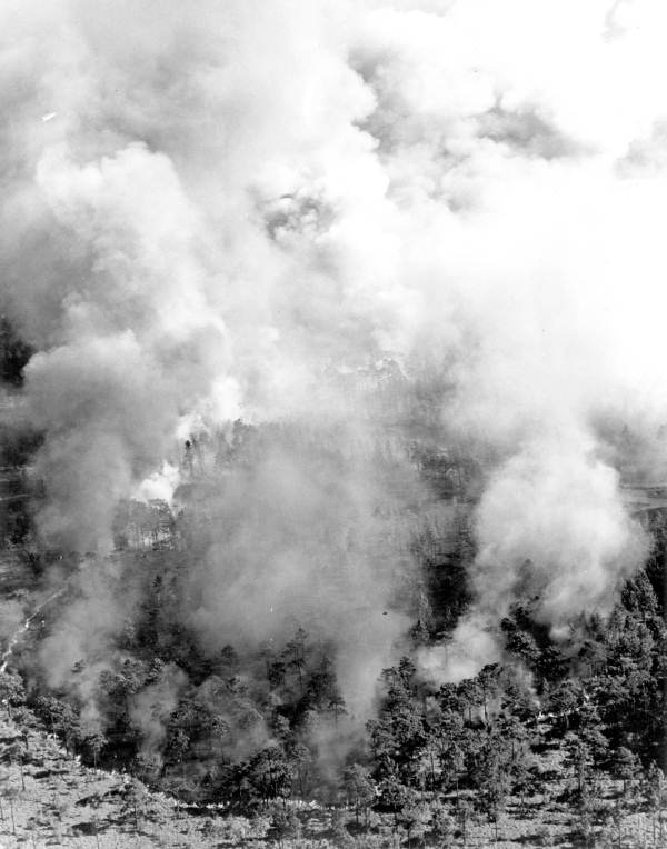 Fire in the Big Cypress Swamp.