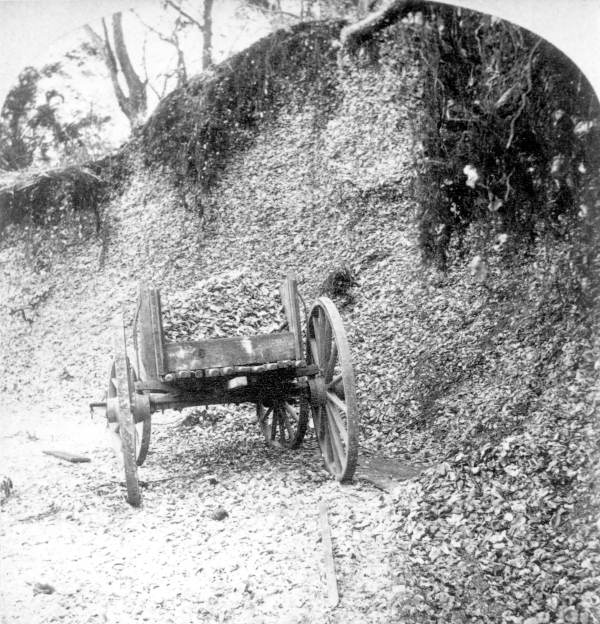Mound of oyster shells.