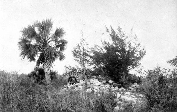 Remains of Fort San Marcos de Apalache - St. Marks, Florida.