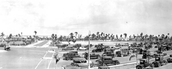 Cars on Biscayne Boulevard.