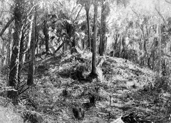 Indian mound at De Leon Springs