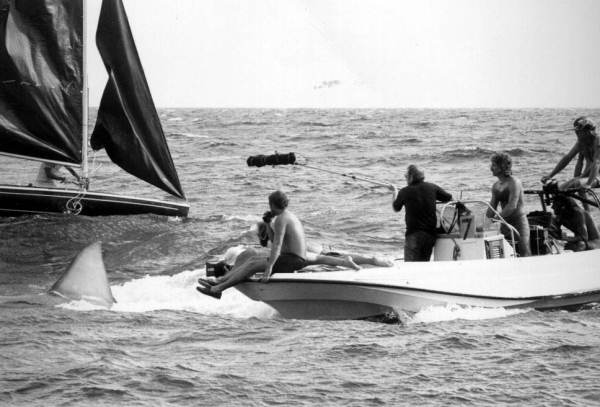 Filming of "Jaws II".