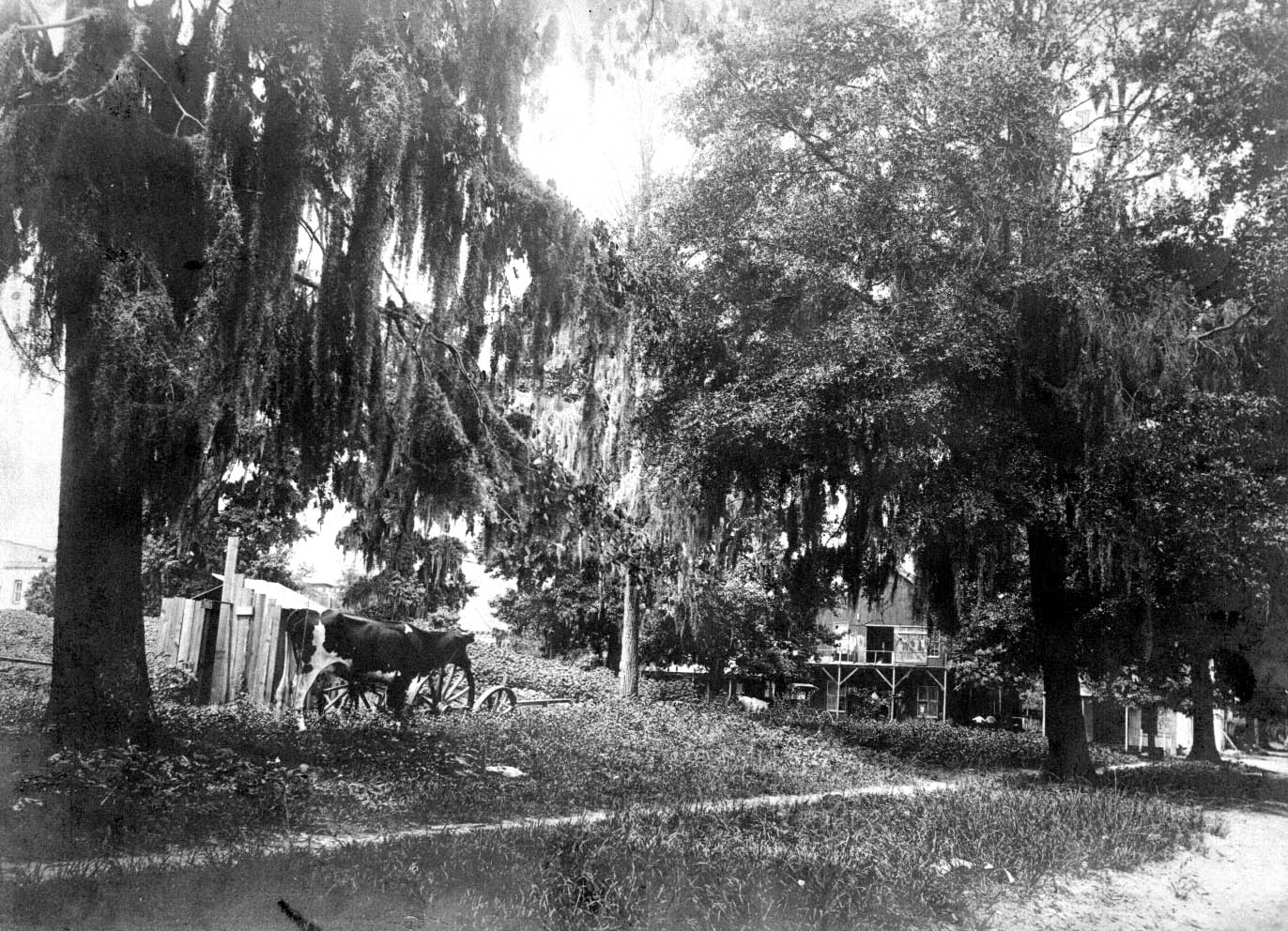 Adams Street prior to construction of post office - Ocala, Florida.