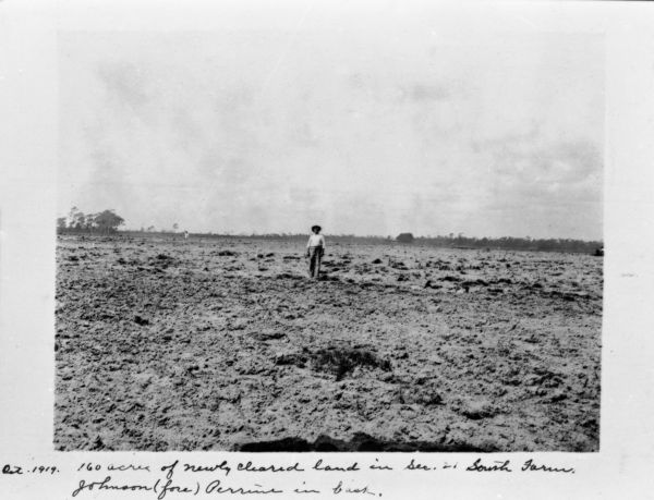 Newly cleared land in section 21 of South Farm