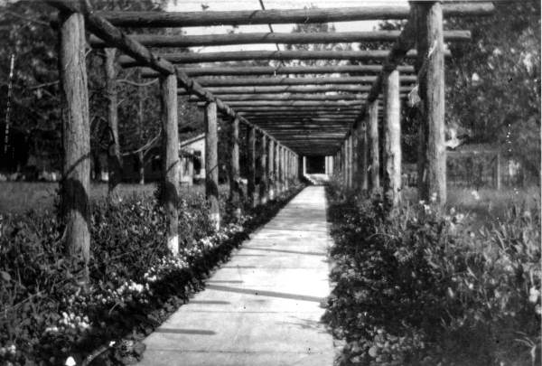 Walk to the swimming pool of W.E. Parmenter house