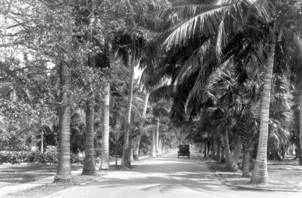 Royal Palm Way.
