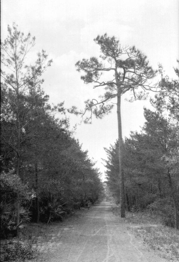 Seton Trail