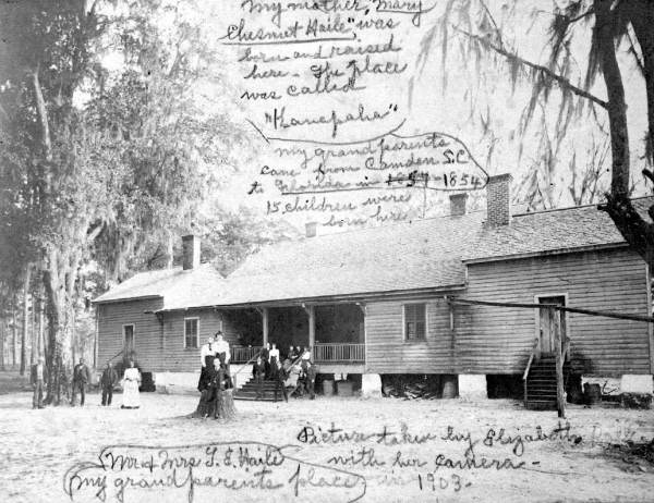 Kanapaha Plantation : Gainesville, Florida.
