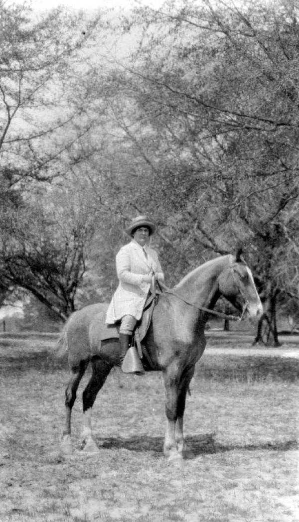 Woman on a horse at Tall Timbers Plantation : Tallahassee, Florida.