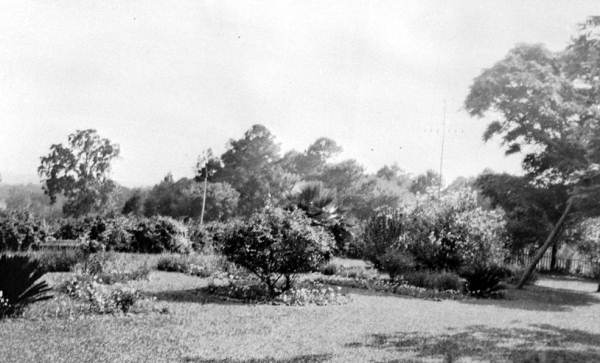 Tall Timbers Plantation yard : Tallahassee, Florida