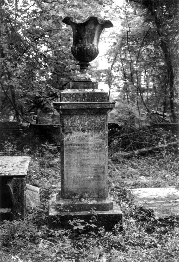 Grave at Vedura Plantation : Leon County, Florida