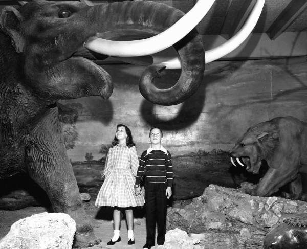 Children with life-size replicas of prehistoric animals.