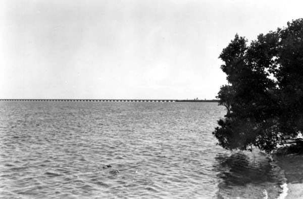 Bridge of overseas extension