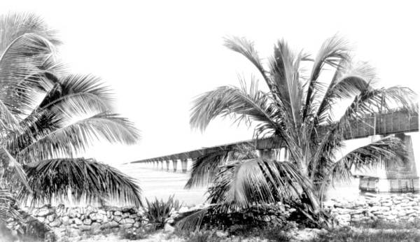 Overseas extension of Florida East Coast Railway looking south from Pigeon Key toward Moser Channel.