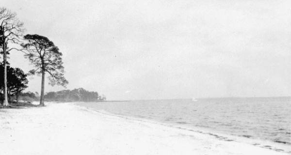 View along the beach.