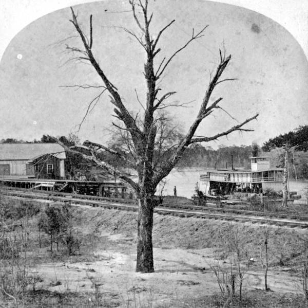 Steamboat "George W. Wylly" on the Apalachicola River