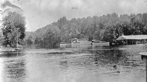 View across the springs - Silver Springs, Florida
