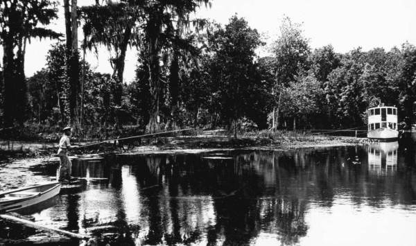 Fishing in the springs - Silver Springs, Florida